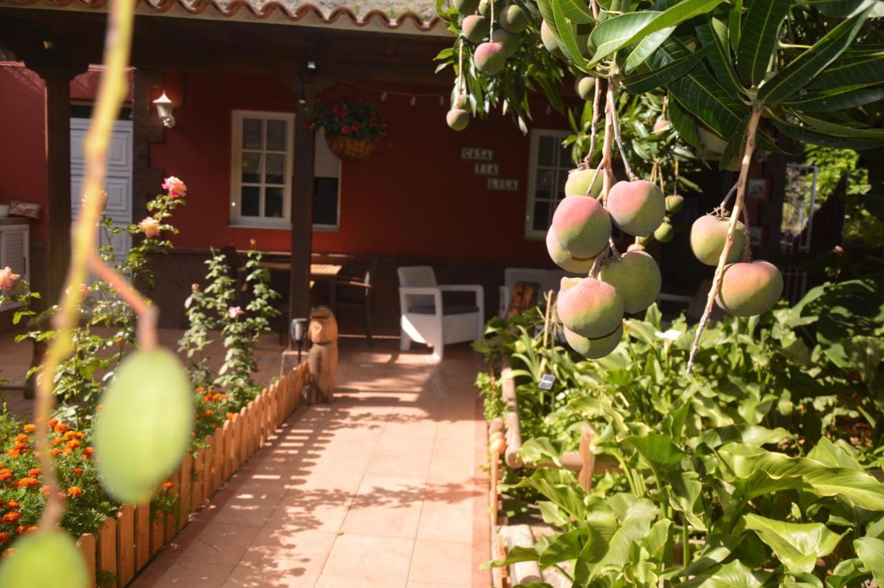 Holiday House Tia Lila San Sebastian De La Gomera Ngoại thất bức ảnh