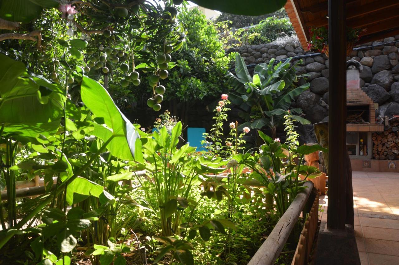 Holiday House Tia Lila San Sebastian De La Gomera Ngoại thất bức ảnh