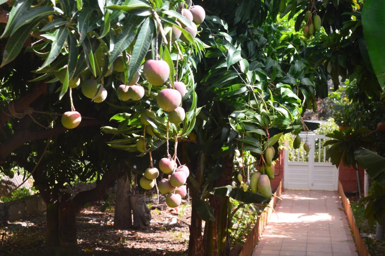 Holiday House Tia Lila San Sebastian De La Gomera Ngoại thất bức ảnh